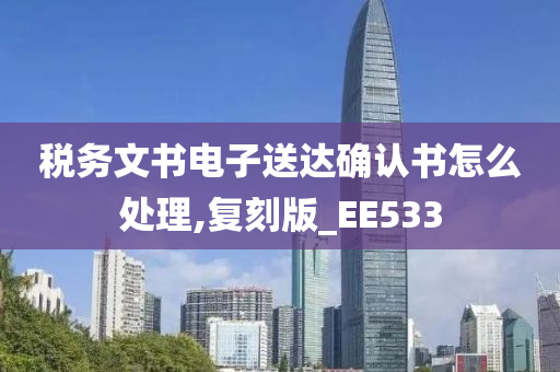 税务文书电子送达确认书怎么处理,复刻版_EE533