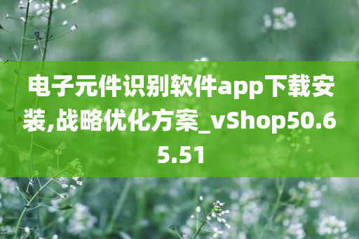 电子元件识别软件app下载安装,战略优化方案_vShop50.65.51