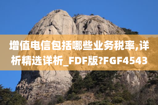 增值电信包括哪些业务税率,详析精选详析_FDF版?FGF4543