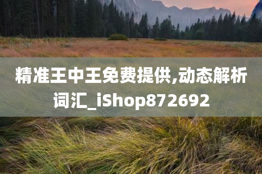 精准王中王免费提供,动态解析词汇_iShop872692