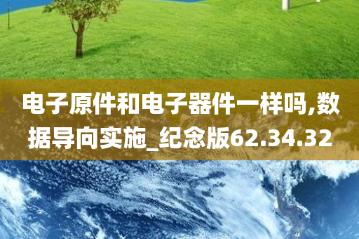 电子原件和电子器件一样吗,数据导向实施_纪念版62.34.32