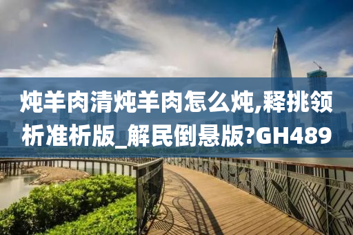 炖羊肉清炖羊肉怎么炖,释挑领析准析版_解民倒悬版?GH489