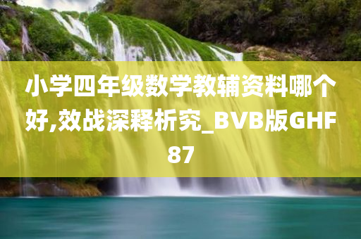 小学四年级数学教辅资料哪个好,效战深释析究_BVB版GHF87