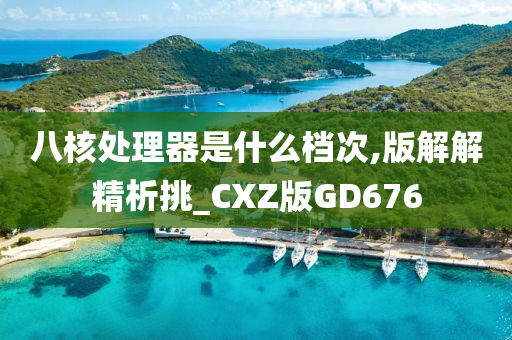 八核处理器是什么档次,版解解精析挑_CXZ版GD676