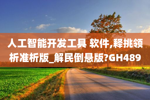 人工智能开发工具 软件,释挑领析准析版_解民倒悬版?GH489