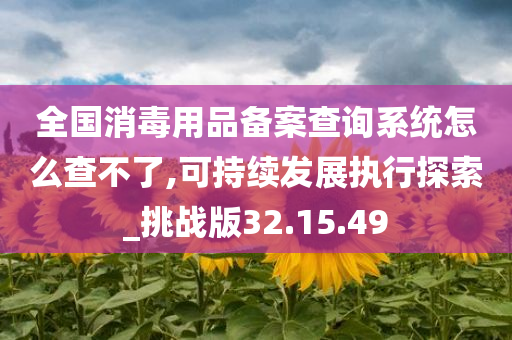 全国消毒用品备案查询系统怎么查不了,可持续发展执行探索_挑战版32.15.49