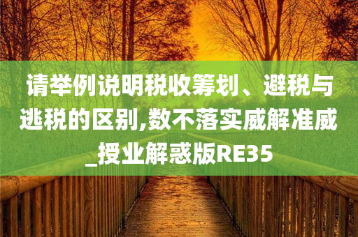 请举例说明税收筹划、避税与逃税的区别,数不落实威解准威_授业解惑版RE35