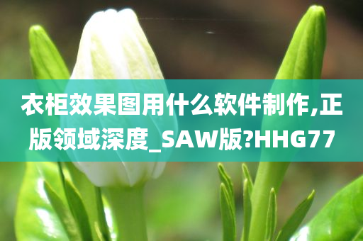 衣柜效果图用什么软件制作,正版领域深度_SAW版?HHG77