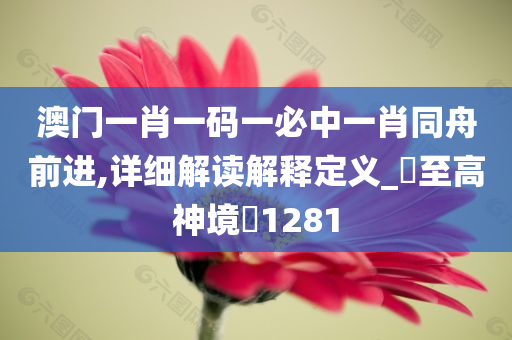 澳门一肖一码一必中一肖同舟前进,详细解读解释定义_‌至高神境‌1281