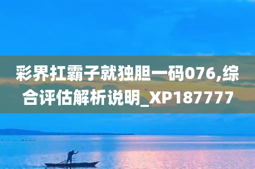 彩界扛霸子就独胆一码076,综合评估解析说明_XP187777