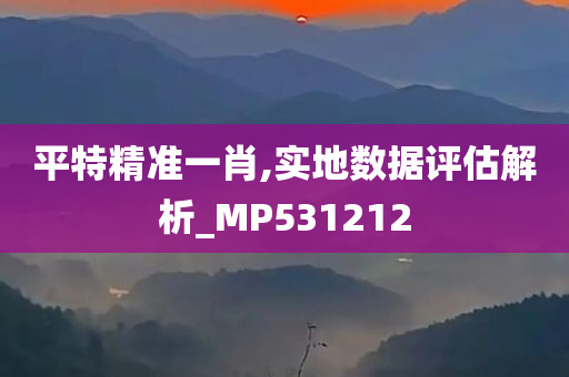 平特精准一肖,实地数据评估解析_MP531212