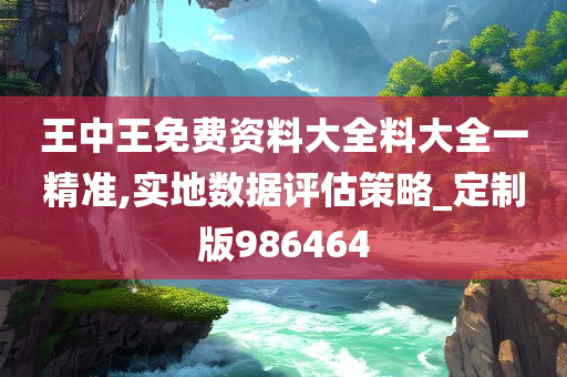 王中王免费资料大全料大全一精准,实地数据评估策略_定制版986464