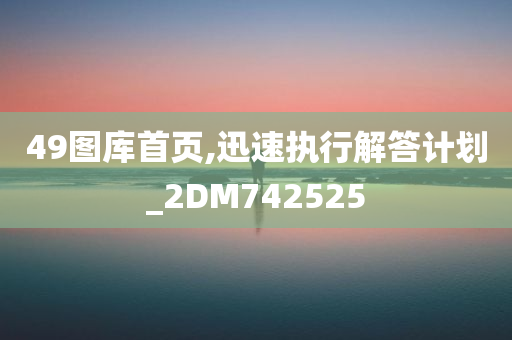 49图库首页,迅速执行解答计划_2DM742525