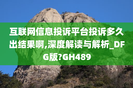 互联网信息投诉平台投诉多久出结果啊,深度解读与解析_DFG版?GH489