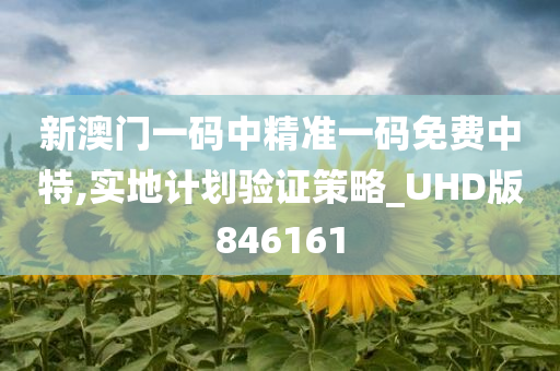 新澳门一码中精准一码免费中特,实地计划验证策略_UHD版846161