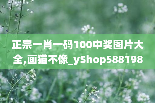 正宗一肖一码100中奖图片大全,画猫不像_yShop588198