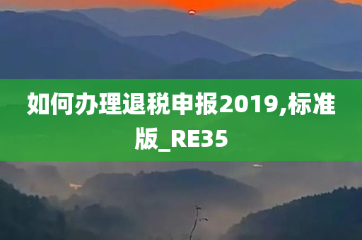 如何办理退税申报2019,标准版_RE35