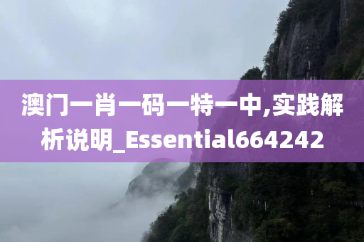 澳门一肖一码一特一中,实践解析说明_Essential664242