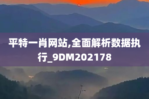 平特一肖网站,全面解析数据执行_9DM202178