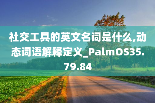 社交工具的英文名词是什么,动态词语解释定义_PalmOS35.79.84