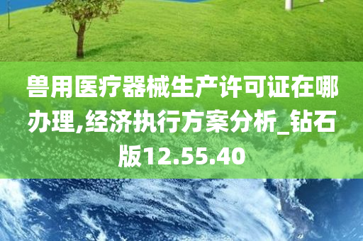 兽用医疗器械生产许可证在哪办理,经济执行方案分析_钻石版12.55.40