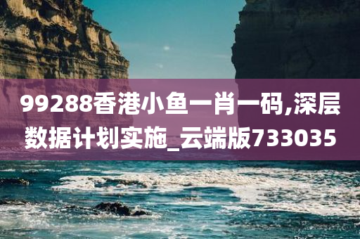 99288香港小鱼一肖一码,深层数据计划实施_云端版733035