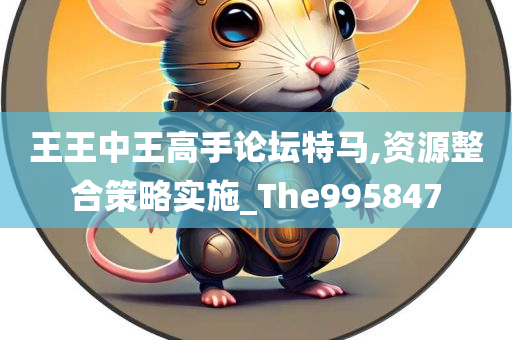 王王中王高手论坛特马,资源整合策略实施_The995847