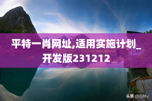 平特一肖网址,适用实施计划_开发版231212