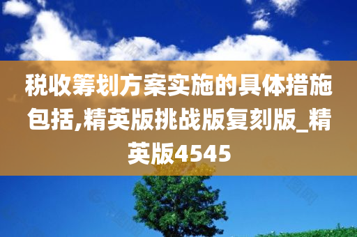 税收筹划方案实施的具体措施包括,精英版挑战版复刻版_精英版4545