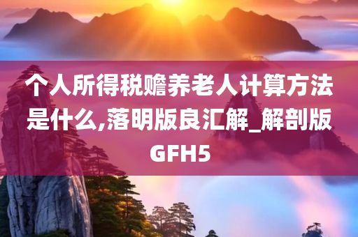 个人所得税赡养老人计算方法是什么,落明版良汇解_解剖版GFH5