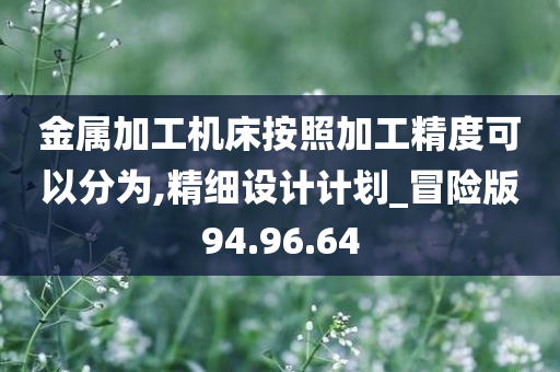 金属加工机床按照加工精度可以分为,精细设计计划_冒险版94.96.64