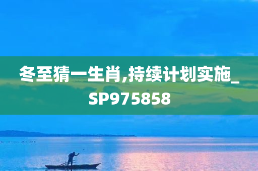 冬至猜一生肖,持续计划实施_SP975858