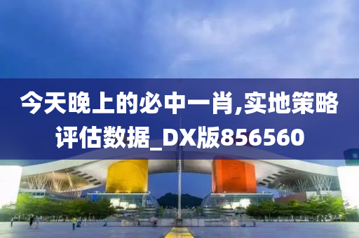 今天晚上的必中一肖,实地策略评估数据_DX版856560