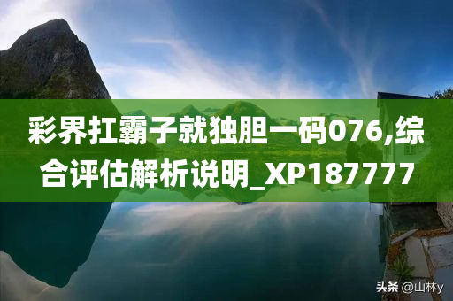 彩界扛霸子就独胆一码076,综合评估解析说明_XP187777