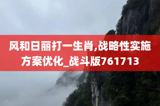 风和日丽打一生肖,战略性实施方案优化_战斗版761713