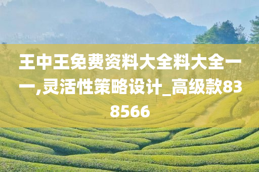 王中王免费资料大全料大全一一,灵活性策略设计_高级款838566