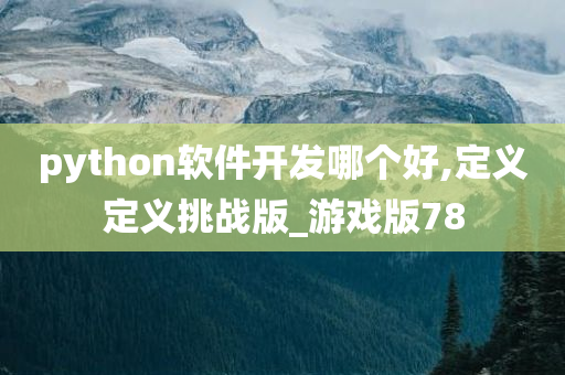 python软件开发哪个好,定义定义挑战版_游戏版78