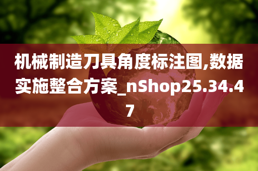 机械制造刀具角度标注图,数据实施整合方案_nShop25.34.47