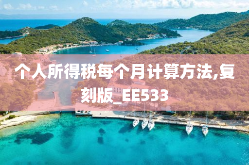 个人所得税每个月计算方法,复刻版_EE533