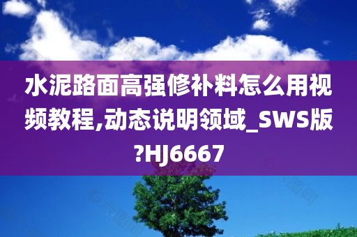 水泥路面高强修补料怎么用视频教程,动态说明领域_SWS版?HJ6667