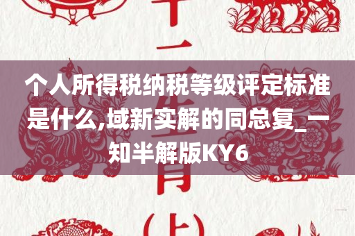 个人所得税纳税等级评定标准是什么,域新实解的同总复_一知半解版KY6