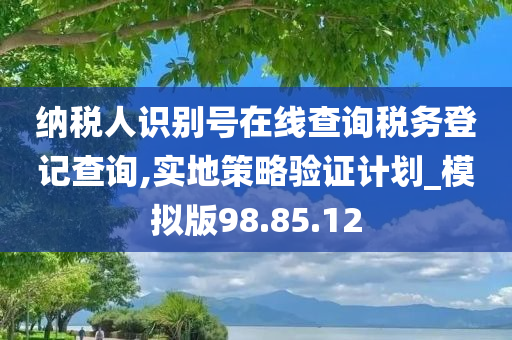 纳税人识别号在线查询税务登记查询,实地策略验证计划_模拟版98.85.12