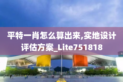 平特一肖怎么算出来,实地设计评估方案_Lite751818