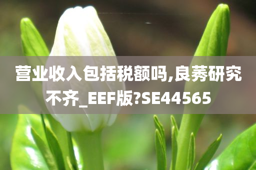 营业收入包括税额吗,良莠研究不齐_EEF版?SE44565