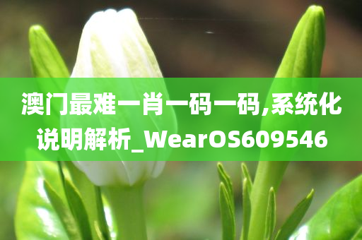 澳门最难一肖一码一码,系统化说明解析_WearOS609546