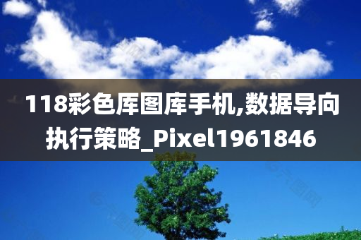 118彩色厍图库手机,数据导向执行策略_Pixel1961846