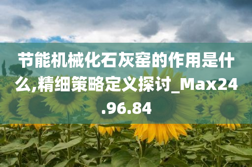 节能机械化石灰窑的作用是什么,精细策略定义探讨_Max24.96.84