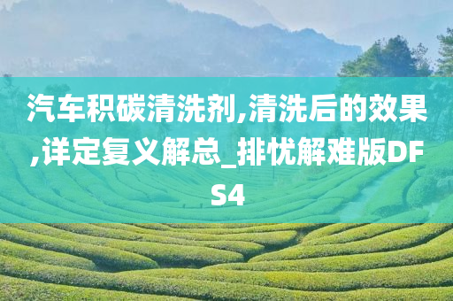 汽车积碳清洗剂,清洗后的效果,详定复义解总_排忧解难版DFS4