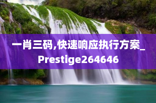 一肖三码,快速响应执行方案_Prestige264646