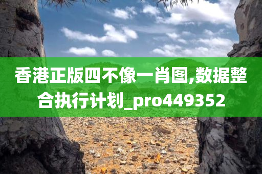 香港正版四不像一肖图,数据整合执行计划_pro449352